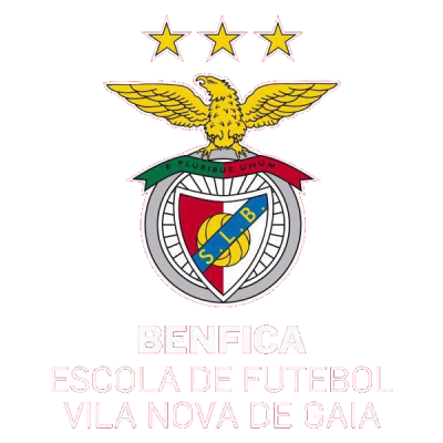 Benfica VNG A